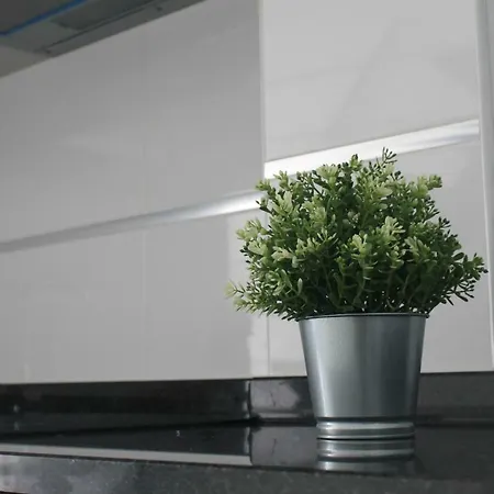 Daire Cantinho Flores Ii Nazaré