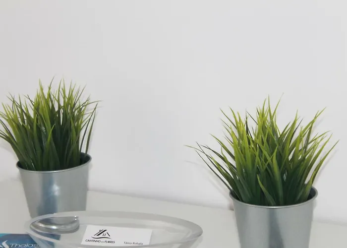 Cantinho Flores Ii * 纳扎雷