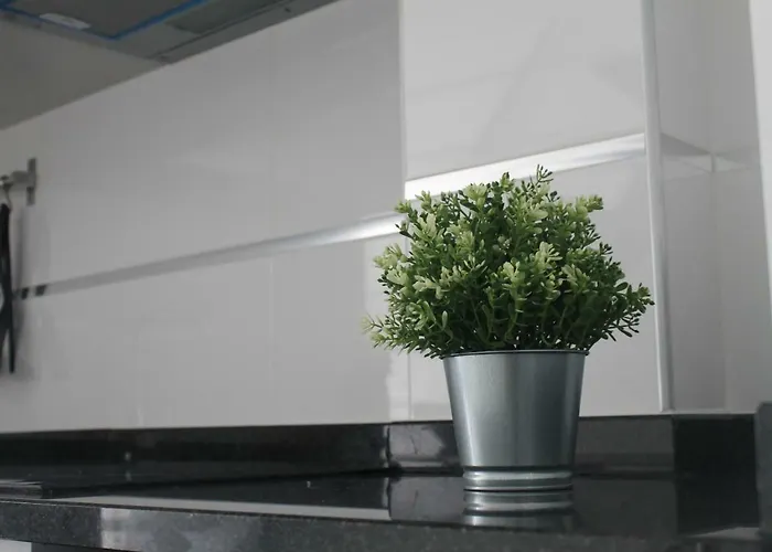 公寓 Cantinho Flores Ii 纳扎雷